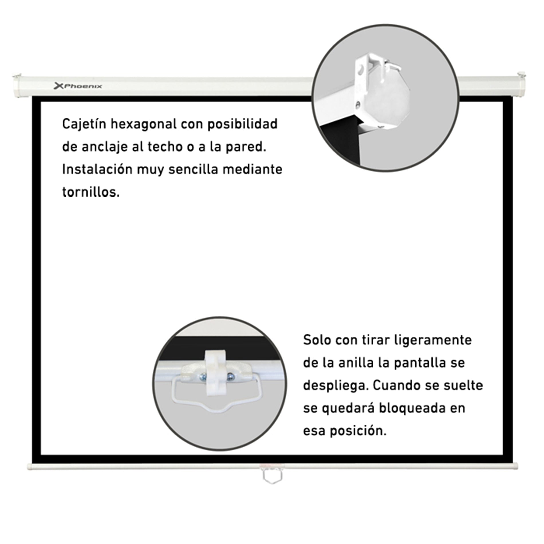 Pantalla de proyeccion Phoenix manual 135" Modelo 240 x 240 cm