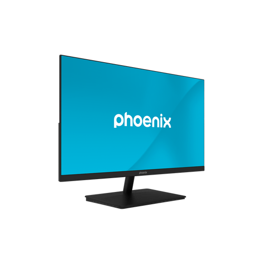 Monitor Prisma 24" 100hz