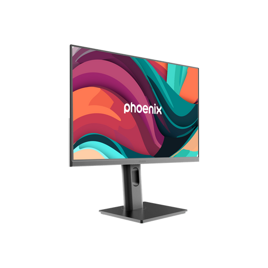 Monitor Essence Pro 24"